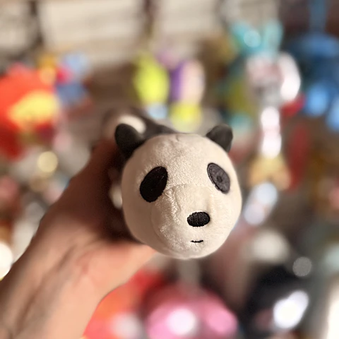 Estuche de Peluche Panda – Escandalosos