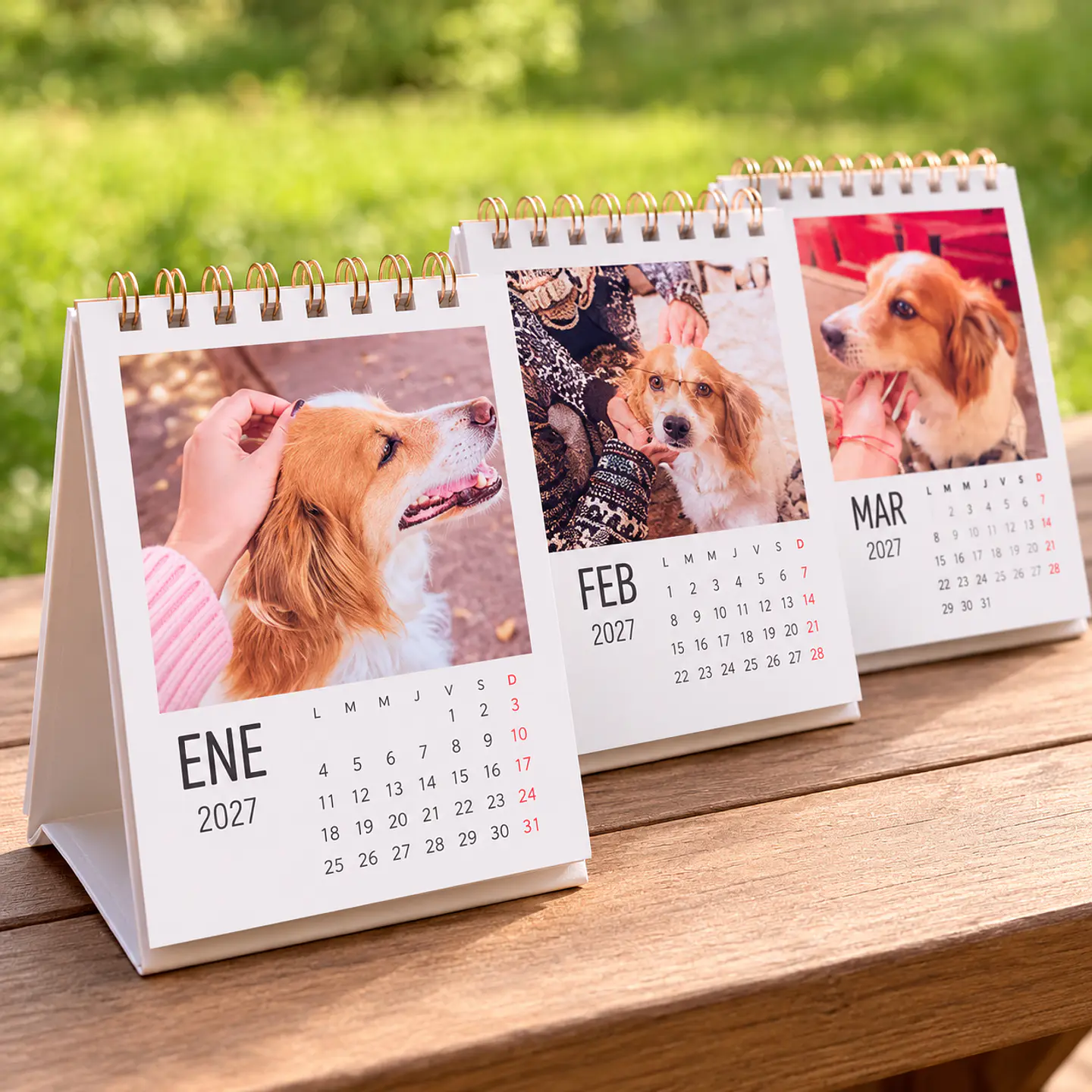 Calendario de Escritorio Personalizado 2027 1