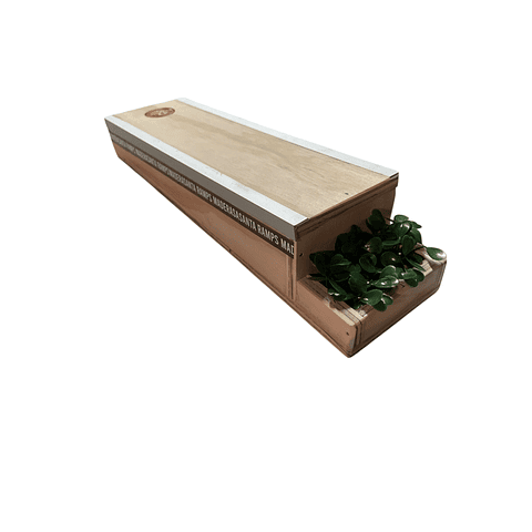 Box Plant 32 cms Madera Santa