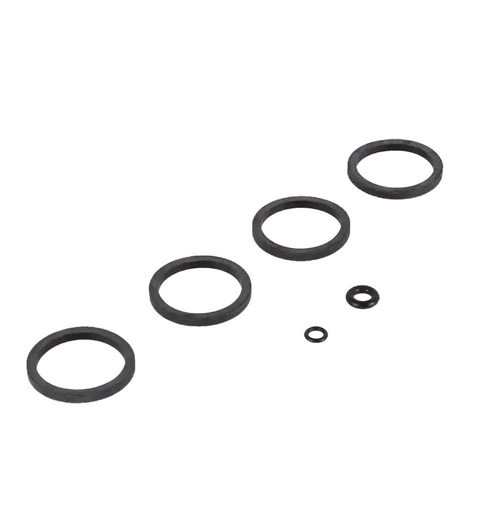 Sellos Formula Cura 4 (Caliper) 1