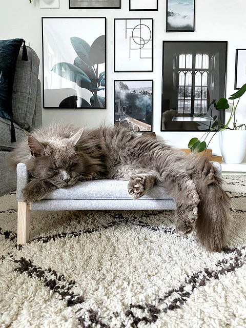 Cama para gatos Lulu - Gris claro