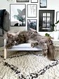 Cama para gatos Lulu - Gris claro - Miniatura 2