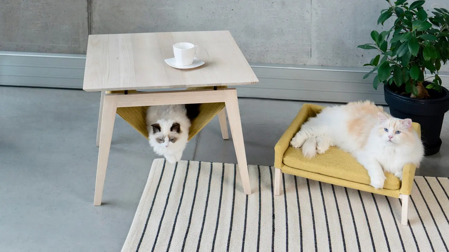 Mesa Kikko y cama Lulu para gatos 2