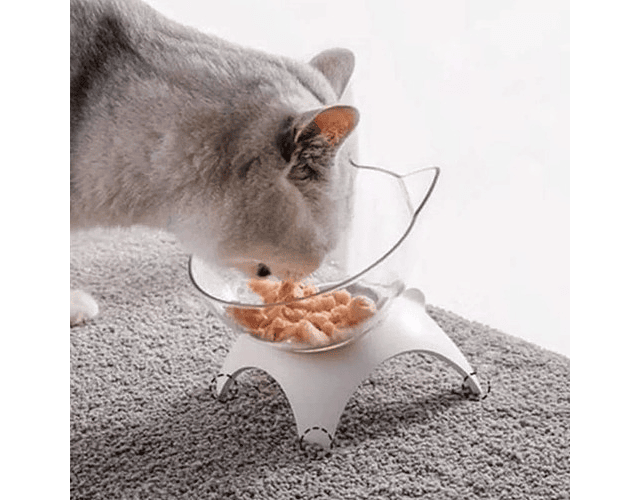 Bowl Plato Inclinado Ortopédico Para Gatos - Codystore