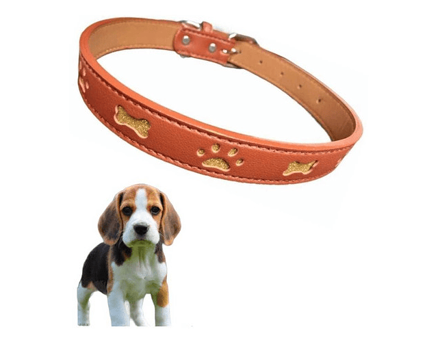 Collar Para Perros Diseños A Elección - Codystore