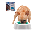 Plato Bowl Mantiene Agua Fresca Para Mascota - Verano Frosty