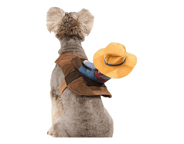 Disfraz Para Perros Y Gatos Con Jinete De Vaquero Dif Tallas