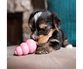 Juguete Kong Puppy Cachorros Rellenable Talla S - Original