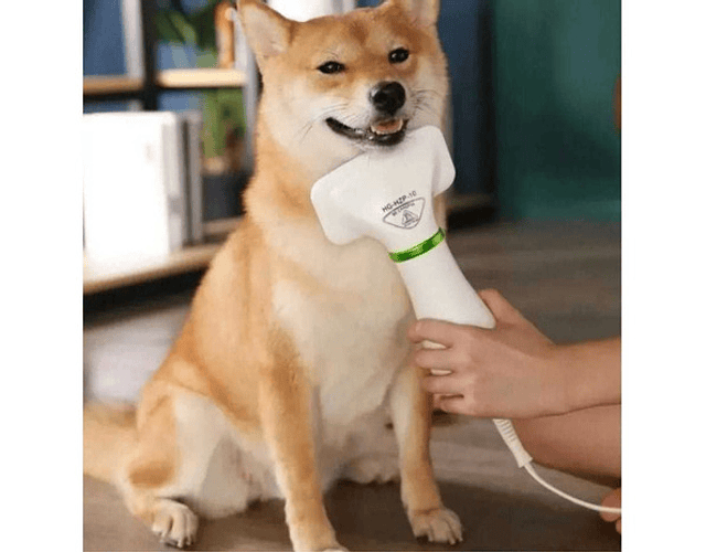 Cepillo Aspirador Secador De Pelo Mascota Perro Gato 2 En 1 