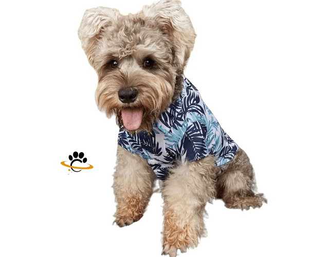 Camisa Guayaberas Ropa Para Perros Mascotas Dif Tallas - Cs