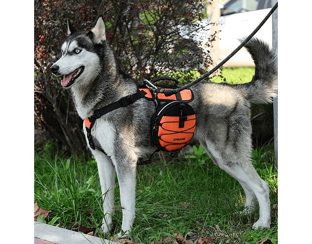Arnés Con Mochila Para Perros Paseos Trekking / Codystore