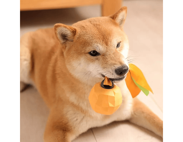 Juguete Dispensador De Snack Para Perros Con Forma De Fruta