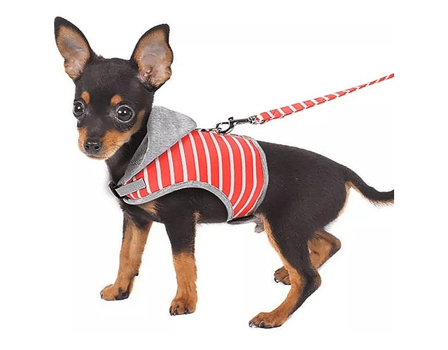 Arnés Pechera Cómoda Para Perros Y Gatos + Gorro / Talla M