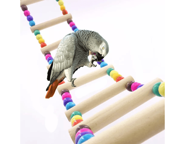 Escalera Para Ave Juguete Jaula Pájaro De Madera Natural
