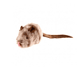 Ratón Para Gatos Melody Chaser Con Sonido Realista - Gigwi