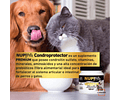 Nup! Pets Condroprotector Premium Perros Y Gatos - Codystore