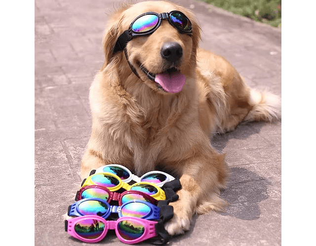 Gafas Lentes De Sol Uv Para Perro Mascotas Mediana A Grandes
