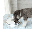 Dispensador Alimentos Robot Automático Perros Y Gatos - Codystore