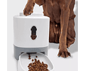 Plato Interactivo Para Gatos Y Perros Alimentación Lenta Cs