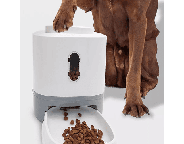 Plato Interactivo Para Gatos Y Perros Alimentación Lenta Cs