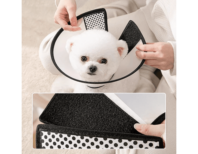 Collar Isabelino Cono Para Mascota Perro 68 Cm
