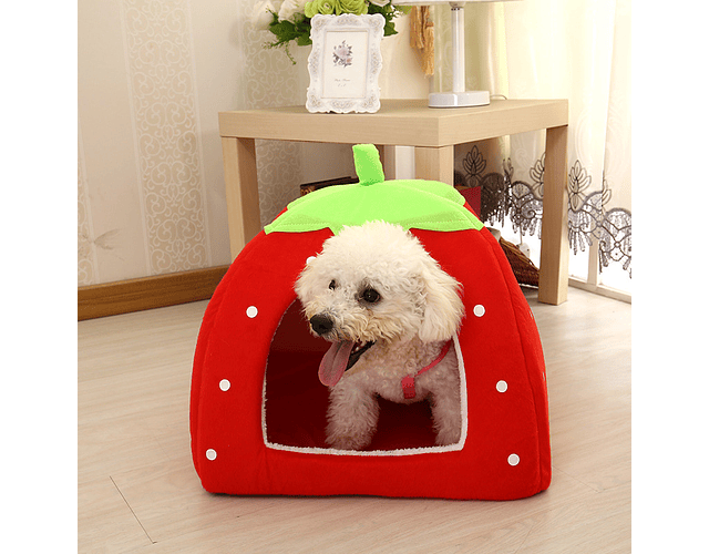 Cama Frutilla Iglú Para Mascotas Erizo Conejo Cuy 35x35 Cm