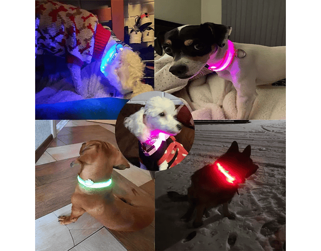 Collar Con Luz Led Carga Usb Para Perros Gatos Talla M - 016