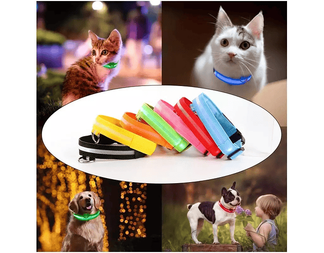 Collar Con Luz Led Carga Usb Para Perros Gatos Talla M - 016