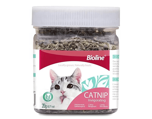 Catnip Hierba Seca Bioline Para Gatos 20gr / Codystore