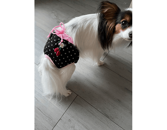 Calzones Para Celo Para Perritas Mascotas Talla S A Xl - Cs