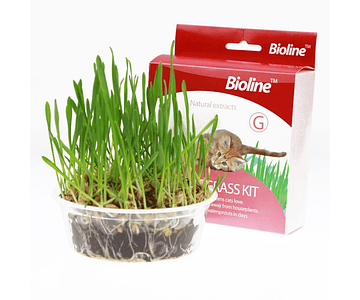 Juguete De Gato Cat Grass Hierba Gatera Catnip Pasto Bioline
