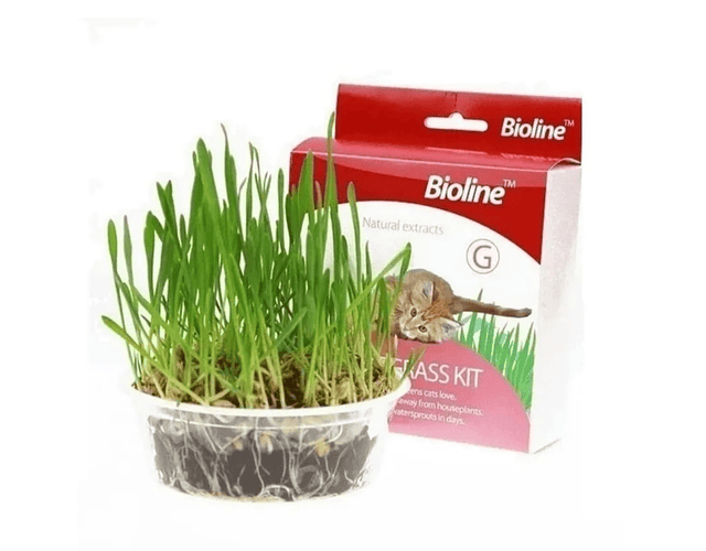 Juguete De Gato Cat Grass Hierba Gatera Catnip Pasto Bioline