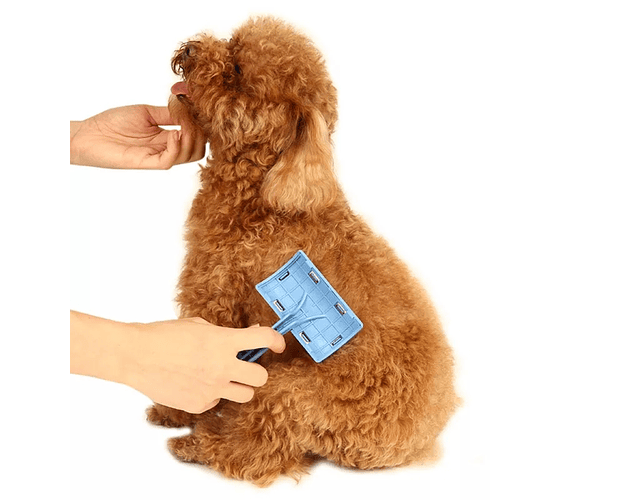 Cepillo Pequeño Mascotas Tipo Agujas Eficaz Para Pulgas - Cs