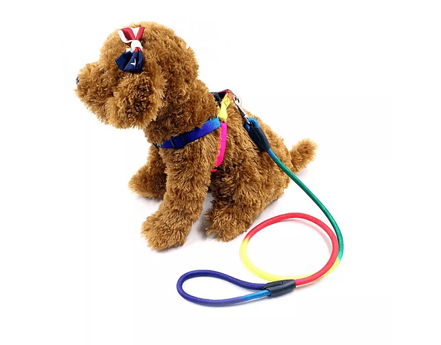 Correa Trailla Reflectante Multicolor Para Perros - Nylon Cs