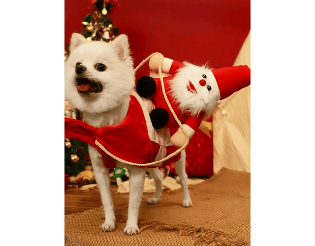 Disfraz Para Perros Y Gatos Navidad Jinete Viejo Páscuero Cs