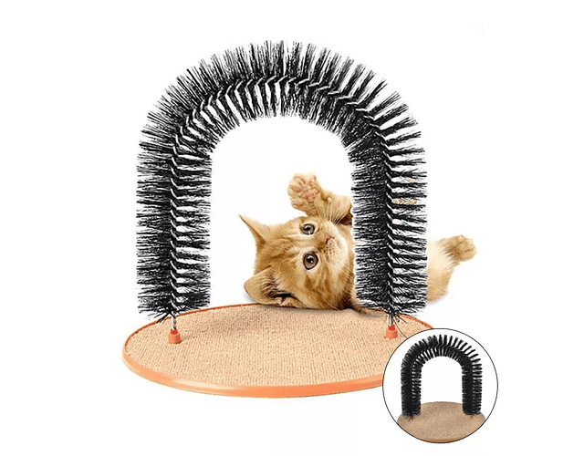 Rascador En Forma De Arco Juguete Gatos Ingenio Mascota - Cs