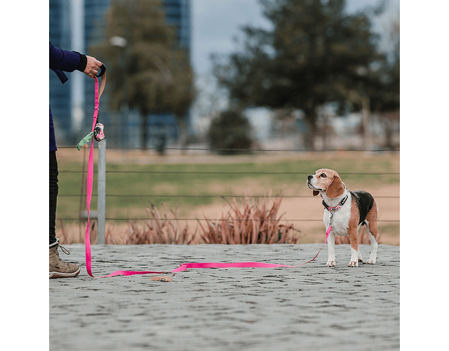 Correa Resistente Larga 5 Metros Perro - Petlounge