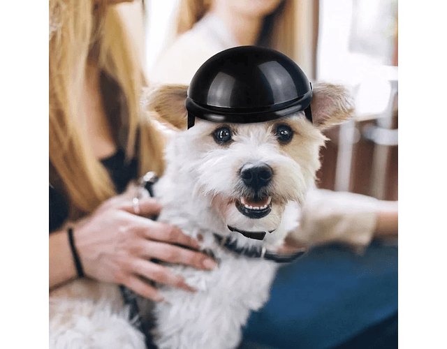 Casco De Protección Premium Para Mascotas Bicicleta Moto Cs