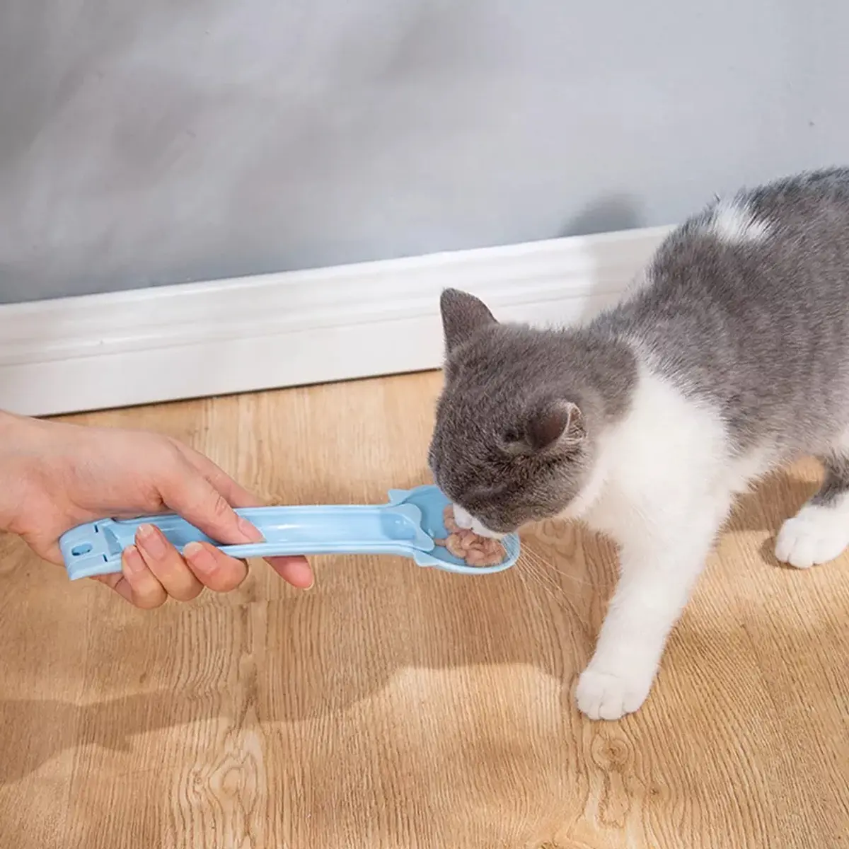 Cuchara Para Churús Alimentador De Mascotas Perros Y Gatos