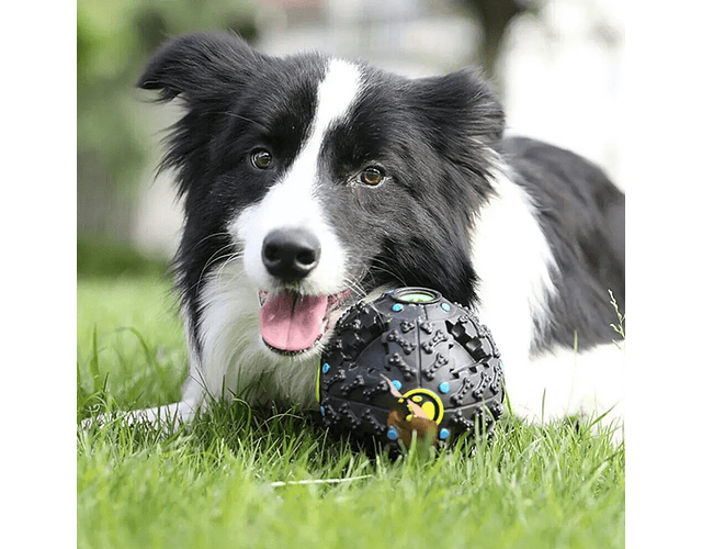 Pelota Grande Para Perros Dispensadora Alimento Dura Solida