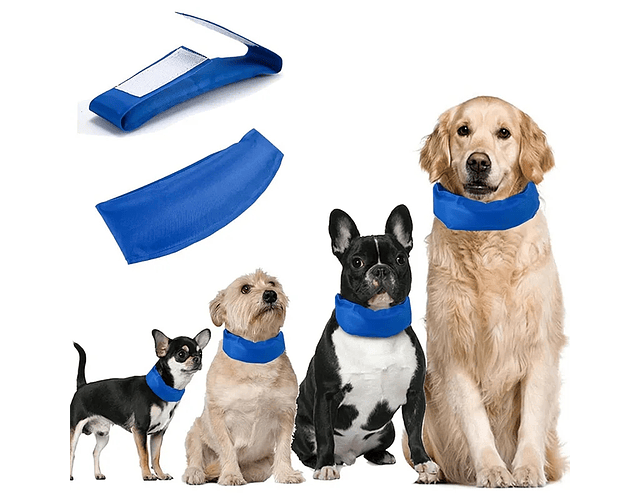 Collar Refrigerante Refrescante Para Perros Y Gatos - 60 Cm