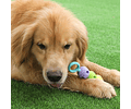 Juguete Para Mascotas Con Pelotas Rellenables Limpia Dientes