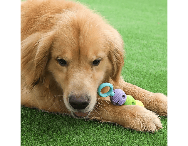 Juguete Para Mascotas Con Pelotas Rellenables Limpia Dientes