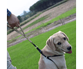 Correa Táctica Elástica Resistente Anti Tirones Para Perros