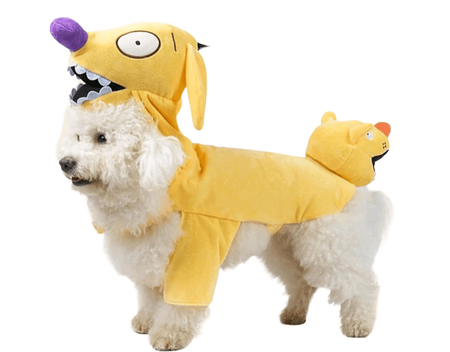 Disfraz Halloween Para Perros Y Gatos Versión Cat Dog - Cs