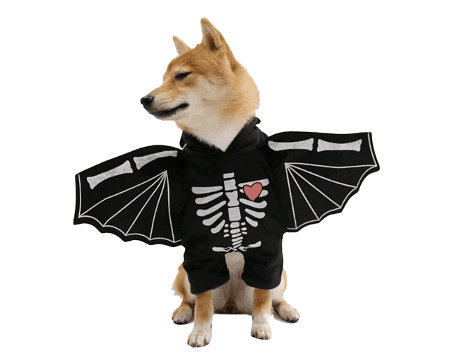 Disfraz Halloween Para Perros Y Gatos Versión Murciélago 