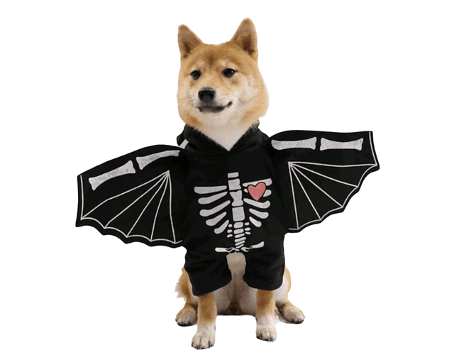 Disfraz Halloween Para Perros Y Gatos Versión Murciélago 