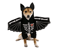 Disfraz Halloween Para Perros Y Gatos Versión Murciélago 