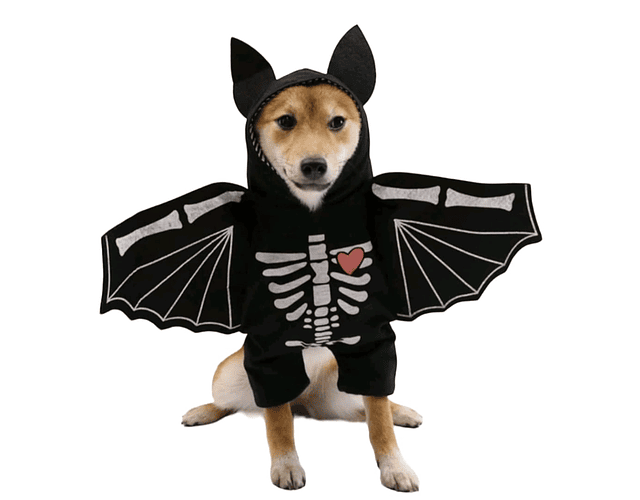 Disfraz Halloween Para Perros Y Gatos Versión Murciélago 