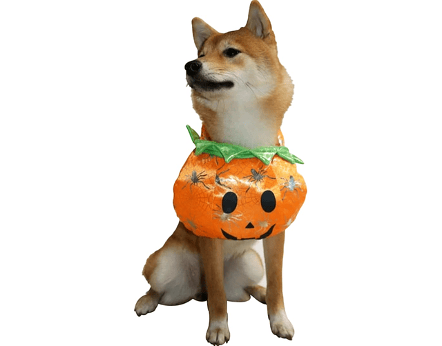 Disfraz Halloween Para Perros Y Gatos Versión Calabaza